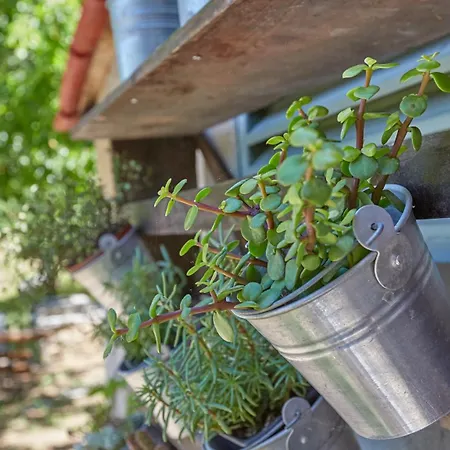 Agrotospito, A To Bring Back To Nature *