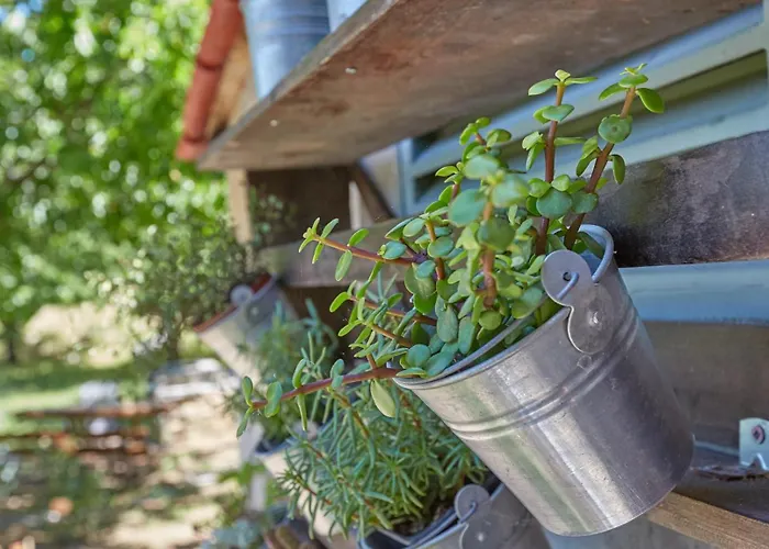 Agrotospito, A To Bring Back To Nature *